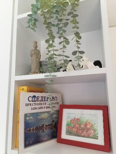 Anka Apartman Smederevo Exteriör bild