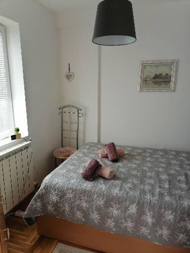 Anka Apartman Smederevo Exteriör bild