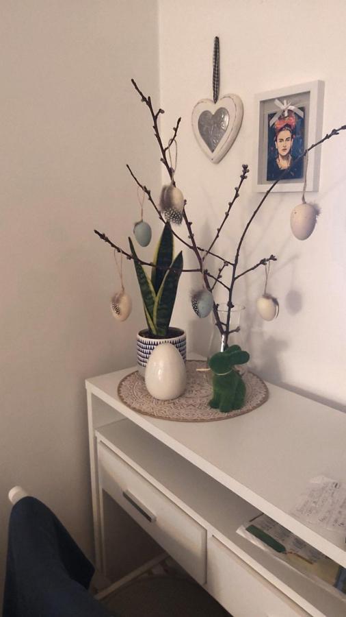 Anka Apartman Smederevo Exteriör bild